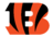 CINCINNATI BENGALS