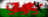WALES (DRAGONS) WALES (DRAGONS)