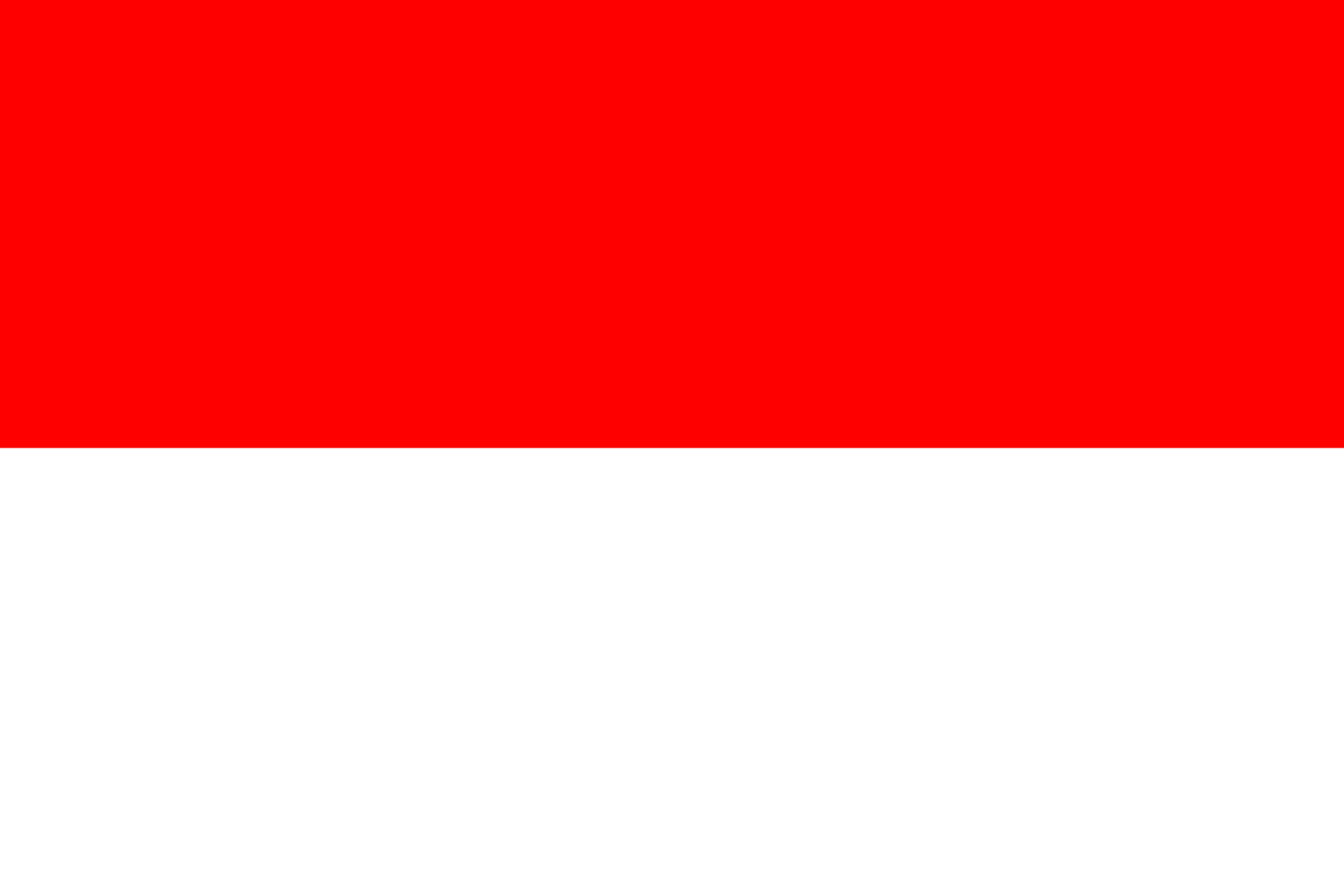 MotoGP Indonézia